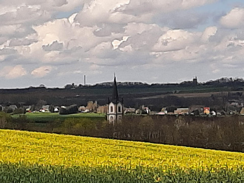 Straße aus Grünau Richtung Wildenfels